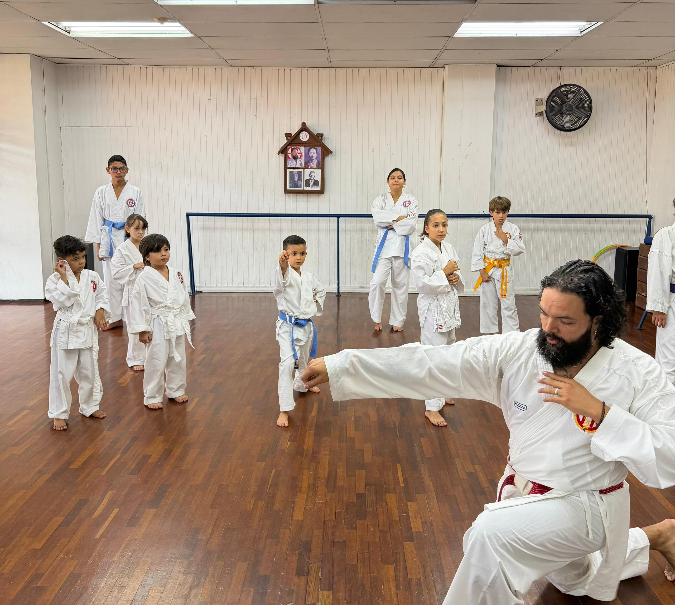 Artes Marciales